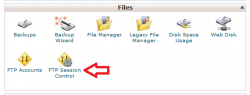 FTP Session Control در سی پنل