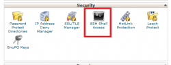 SSH/Shell Access در سی پنل
