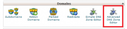 فعال کردن Advanced DNS Zone Editor در سی پنل