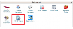 Mime Types در سی پنل