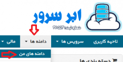 تنظیم DNS دامنه های ملی