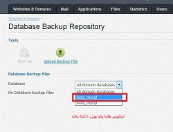 تهیه بک آپ از دیتابیس در پنل plesk